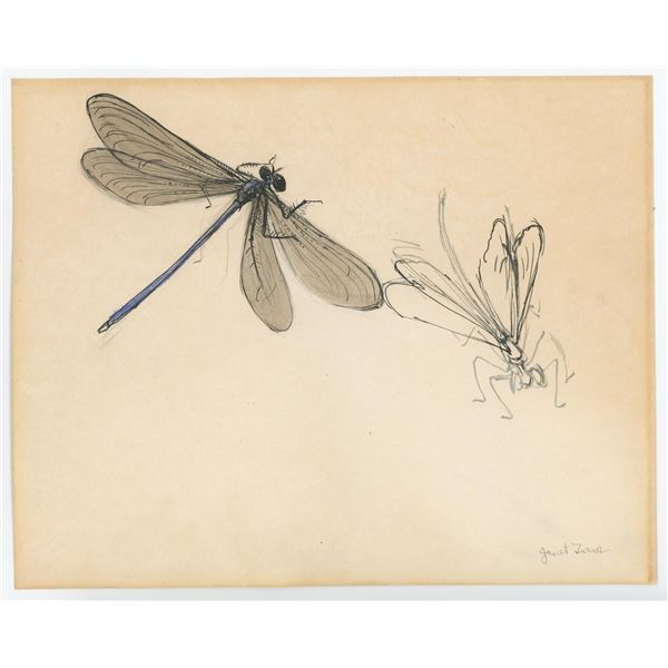 Janet Elizabeth Turner Dragonfly Painting