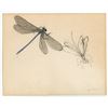 Janet Elizabeth Turner Dragonfly Painting