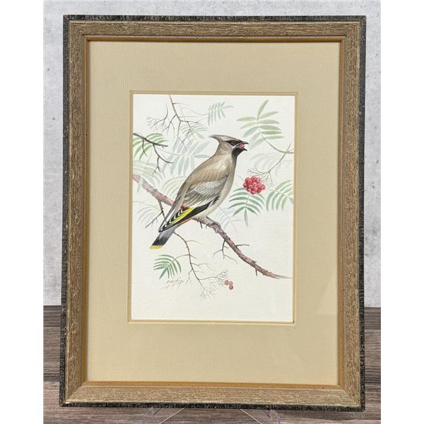 Ron Jenkins Cedar Waxwing Watercolor Painting
