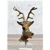 Image 1 : Cold Painted Metal Austrian Stag Head
