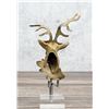 Image 2 : Cold Painted Metal Austrian Stag Head