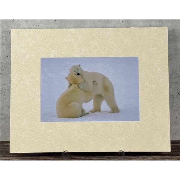 Thomas D. Mangelsen Bear Hug Photo Print