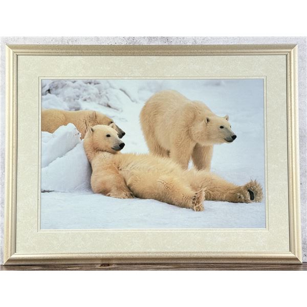 Thomas D. Mangelsen Bad Boys of the Arctic