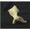 Image 4 : Alaskan Inuit Eskimo Whalebone Vertebrae Carving