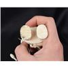 Image 6 : Justin Tiulana Inuit Eskimo Walrus Ivory Carving