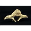 Image 1 : Alaskan Inuit Eskimo Whalebone Vertebrae Carving