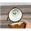 Image 5 : Limoges Peint Main Porcelain Trinket Box Acorn