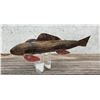 Folk Art Wood Fish Spearing Decoy
