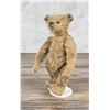 Antique Steiff Mohair Teddy Bear