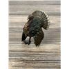 Image 1 : Austrian Cold Painted Vienna Bronze Turkey