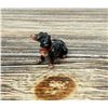Image 2 : Austrian Cold Painted Vienna Bronze Dachshund