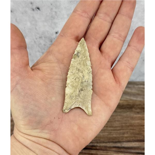 Ancient Native American Indian Arrowhead Dalton