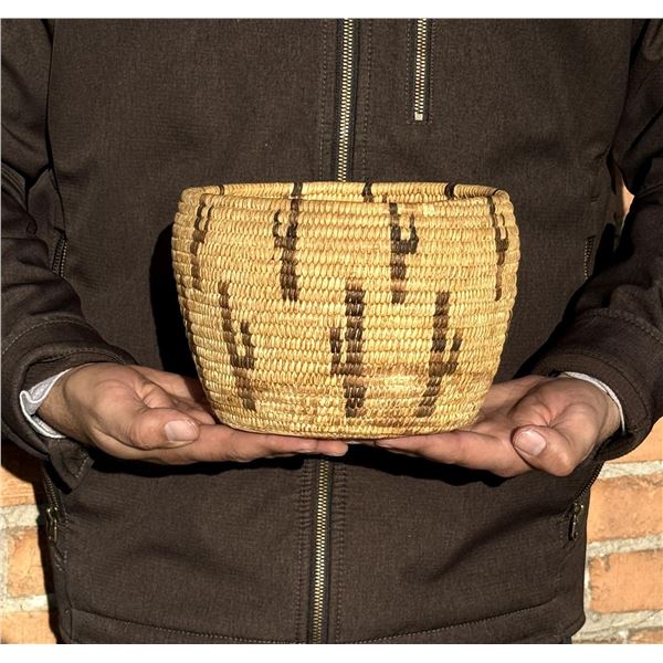 Papago Native American Indian Cactus Basket