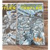 Image 4 : TMNT Teenage Mutant Ninja Turtle Comic Books