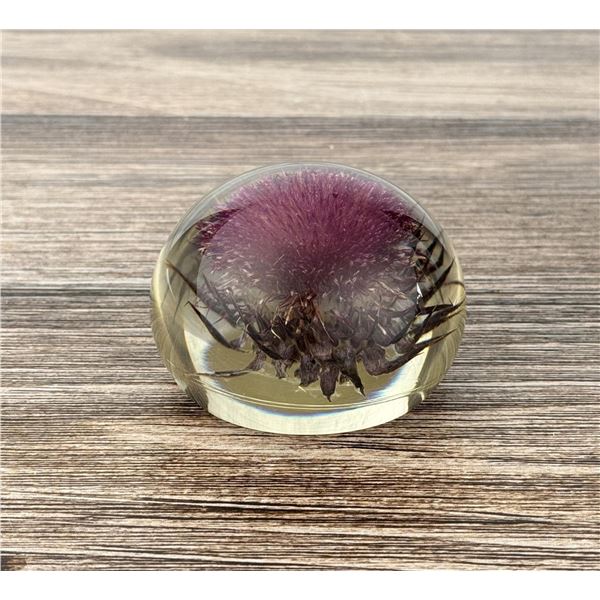 Tarax Infinity Thistle Flower Lucite Paperweight