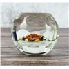 Image 5 : Perthshire Roses & Latticinio Glass Paperweight