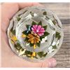 Image 6 : Perthshire Roses & Latticinio Glass Paperweight