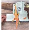 Image 14 : Sharks And Other Sea Monsters Pop Up Book