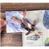 Image 23 : Sharks And Other Sea Monsters Pop Up Book