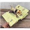 Image 7 : Encyclopedia Prehistorica Mega Beasts Pop Up Book