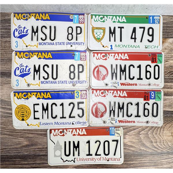 Montana University Vehicle License Plates