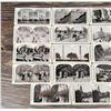Image 3 : Antique Cosmopolitan Series Stereoviews