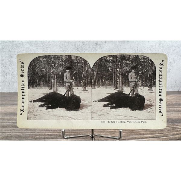 Buffalo Hunting Yellowstone Park Stereoview