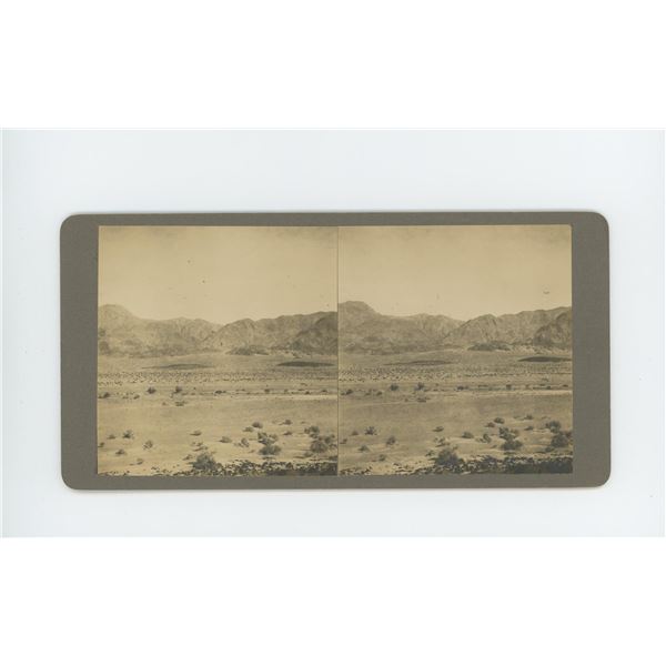 Gold Basin Death Valley California Stereoview