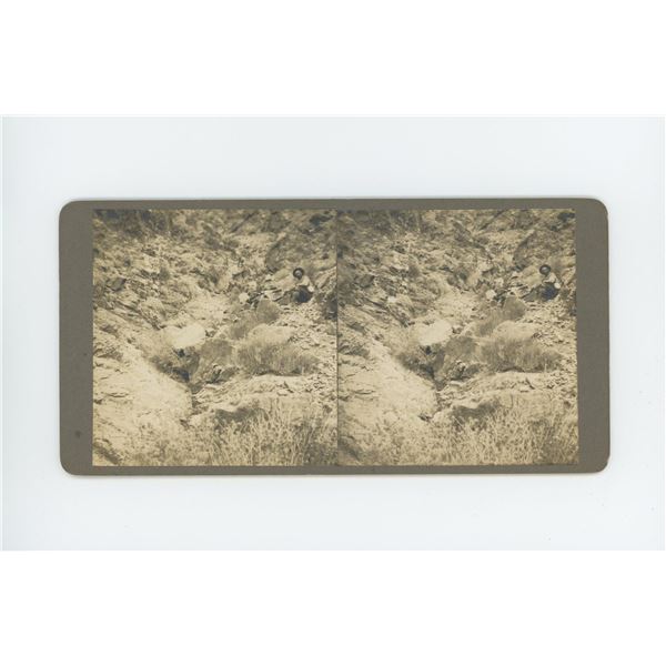 Gold Basin Death Valley California Stereoview