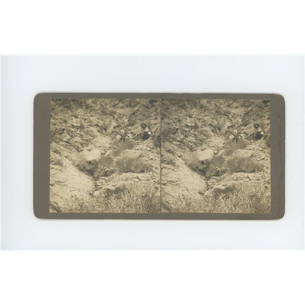 Gold Basin Death Valley California Stereoview