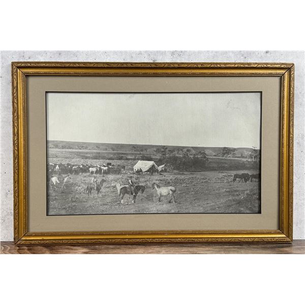 Wyoming Wild Horses Cowboy Photo