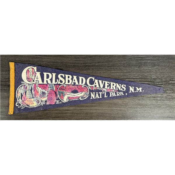 Carlsbad Caverns New Mexico Souvenir Pennant