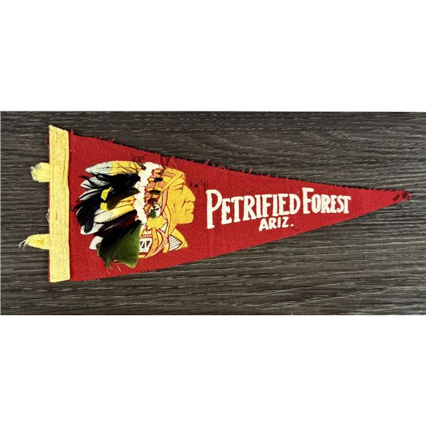 Petrified Forest Arizona Souvenir Pennant