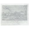 Image 2 : Monte Dolack Dinosaurs Discoveries Poster Study