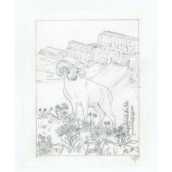 Monte Dolack Bayern Brewing Maibock Study