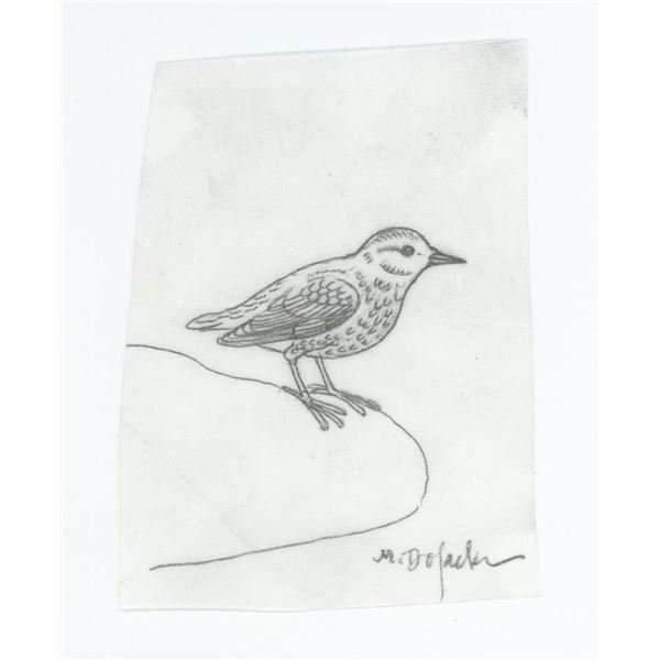 Monte Dolack Bird Study