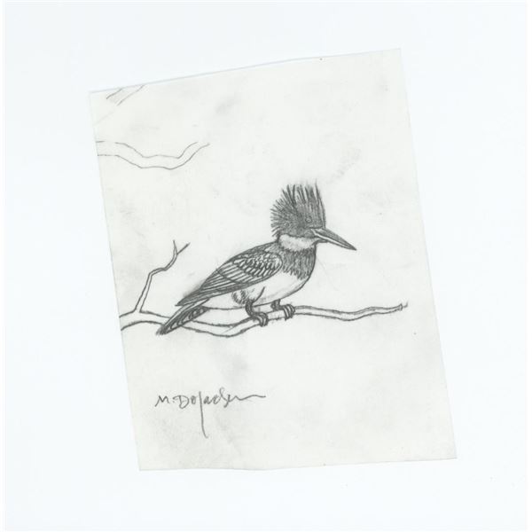 Monte Dolack Kingfisher Study