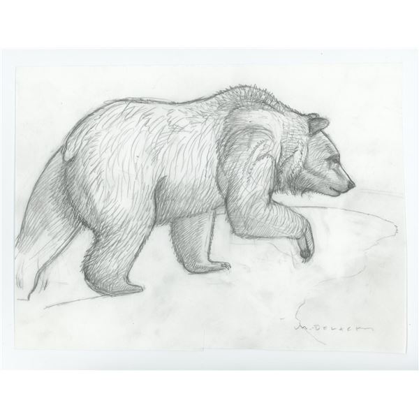 Monte Dolack Grizzly Bear Study
