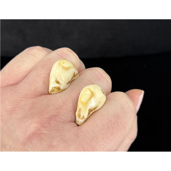 Montana Bull Elk Teeth