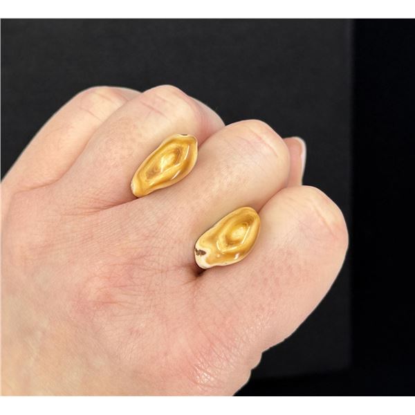 Montana Bull Elk Teeth