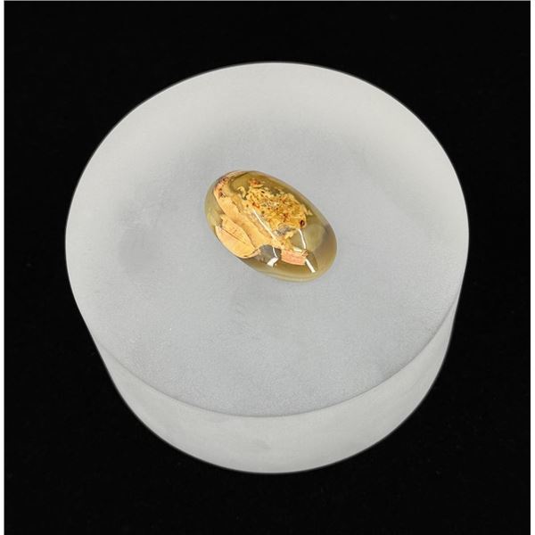 Morrisonite Jasper Cabochon