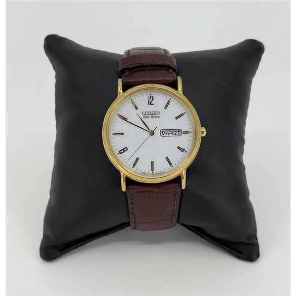 Citizen Eco-Drive BM5055 Watch