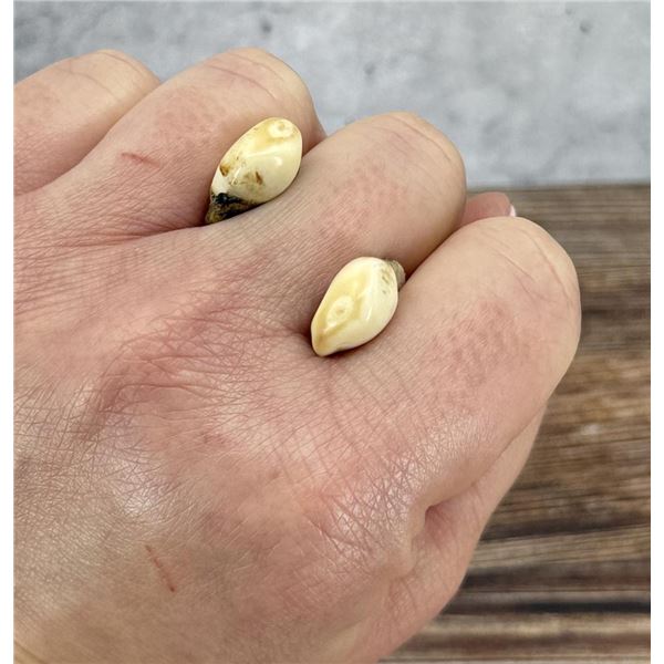 Montana Bull Elk Teeth