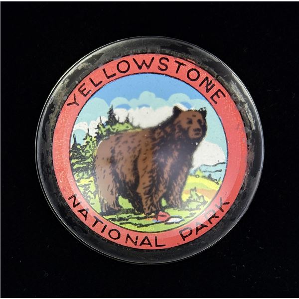 Yellowstone National Park Bear Paperweight
