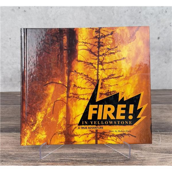 Fire In Yellowstone A True Adventure
