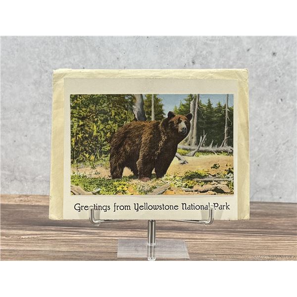 Haynes Yellowstone Park Novelty Card