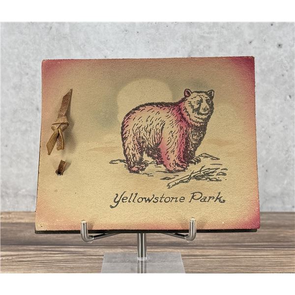 Yellowstone Park Souvenir Photo Album
