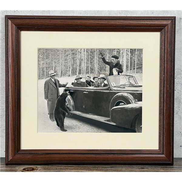 President Roosevelt Yellowstone Park Bear Photo