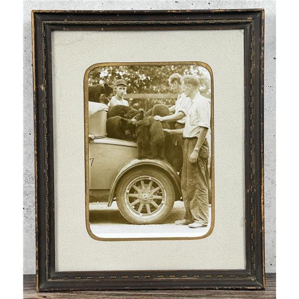 Yellowstone National Park Montana Bear Photo