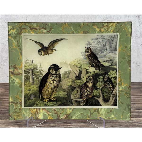 Twigs & Moss Nature Under Glass Owl Tray